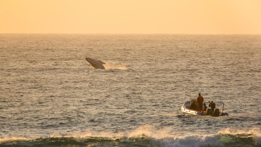 Maputaland Marine Protected Area
