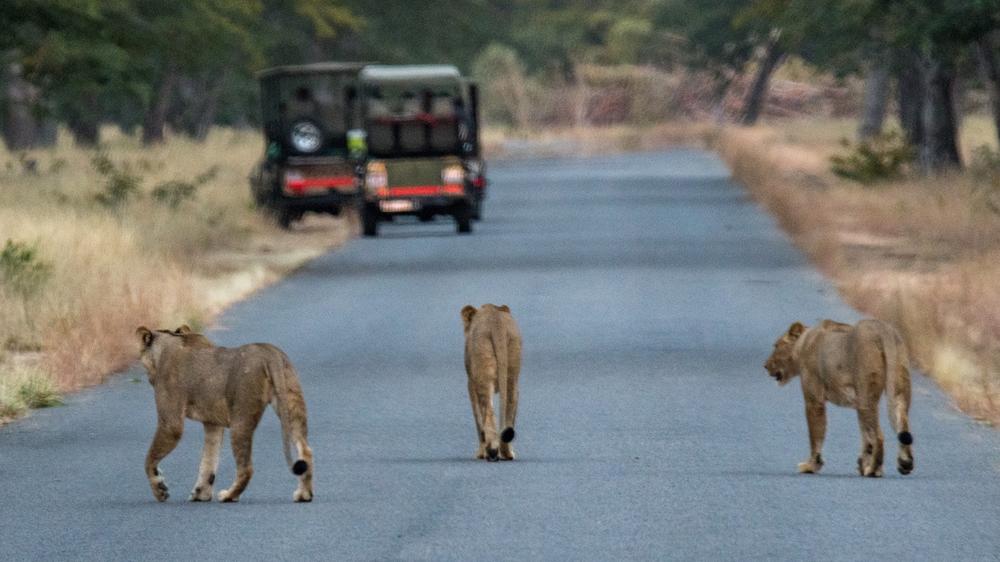 Hwange National Park