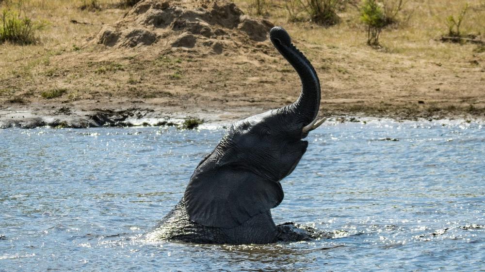 Hwange National Park