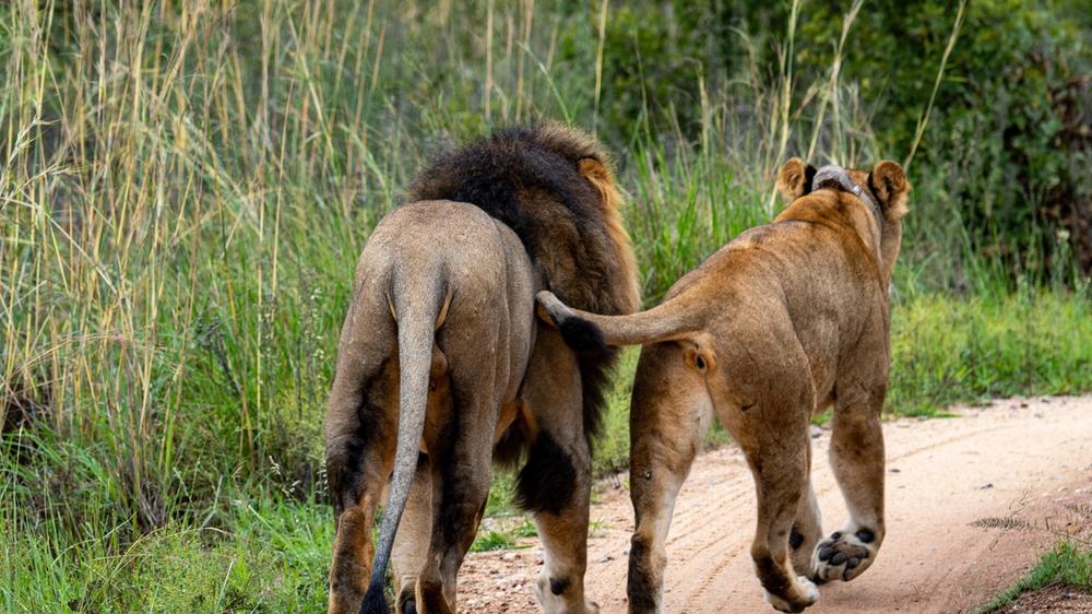 Babanango Game Reserve