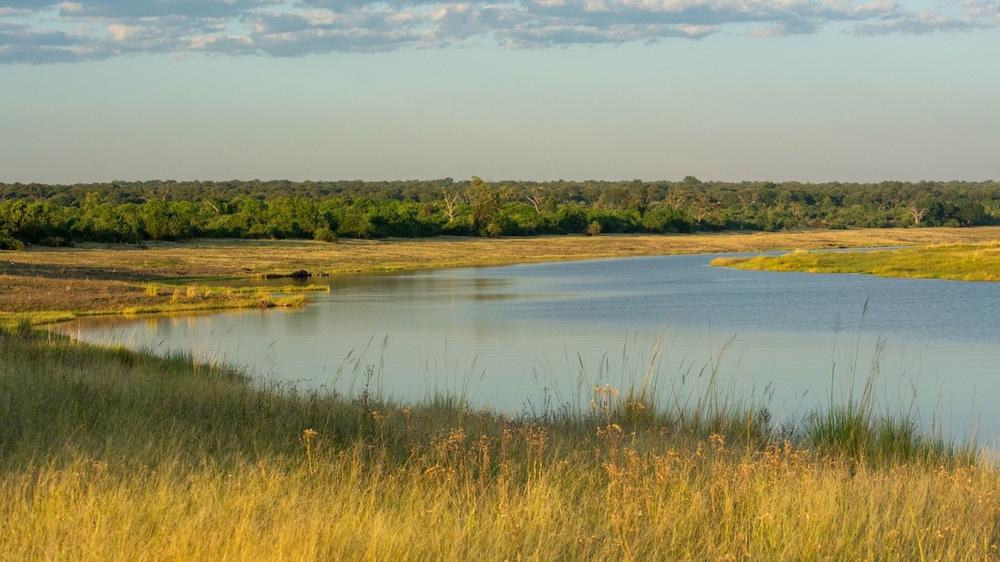 Chobe River Front