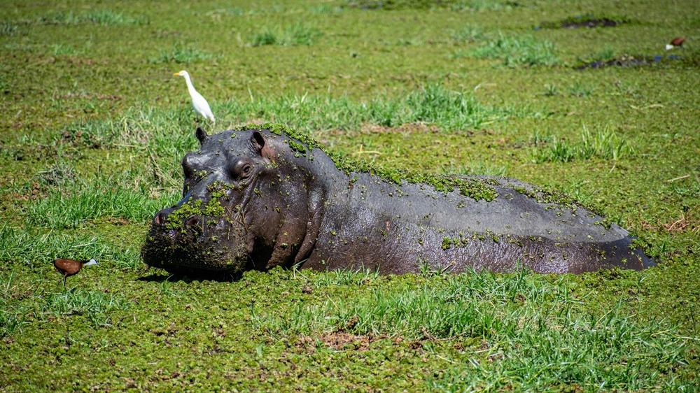 Khwai Community Area