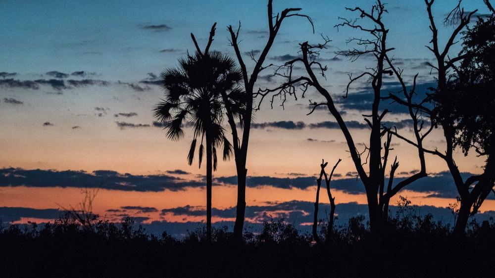 Okavango Delta