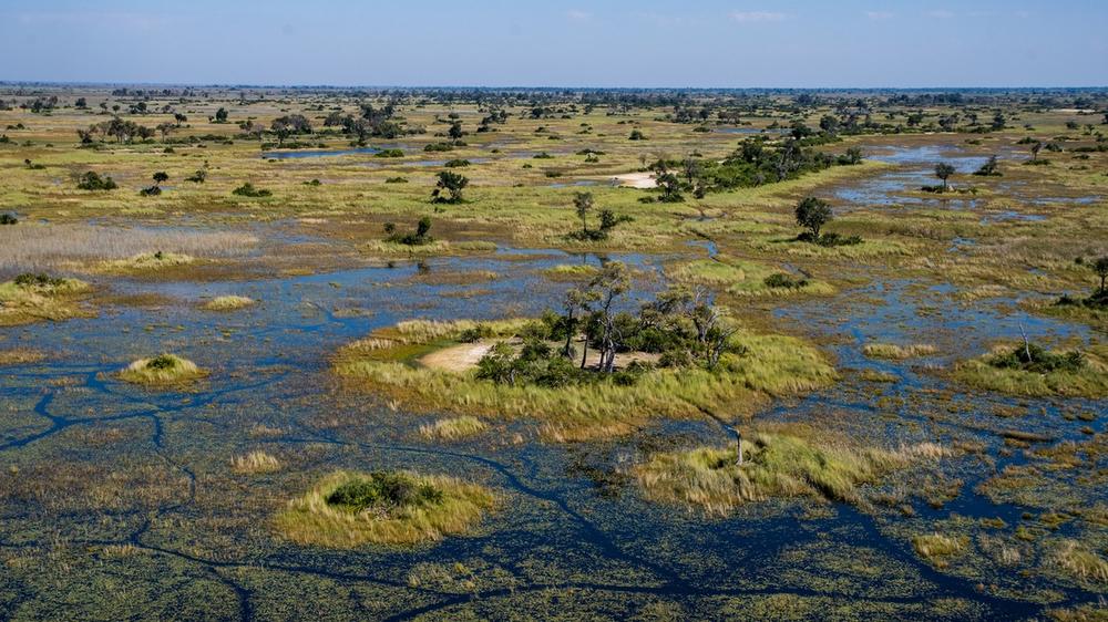 Okavango Delta