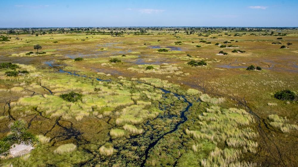 Okavango Delta