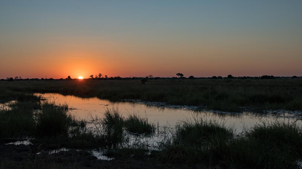Okavango Delta