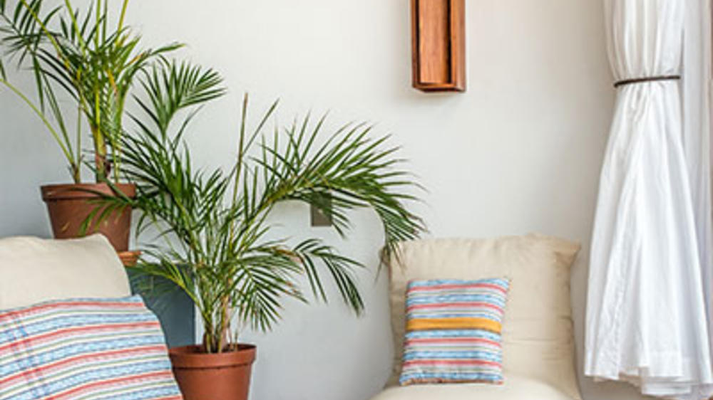 Baia Sonambula Guest House