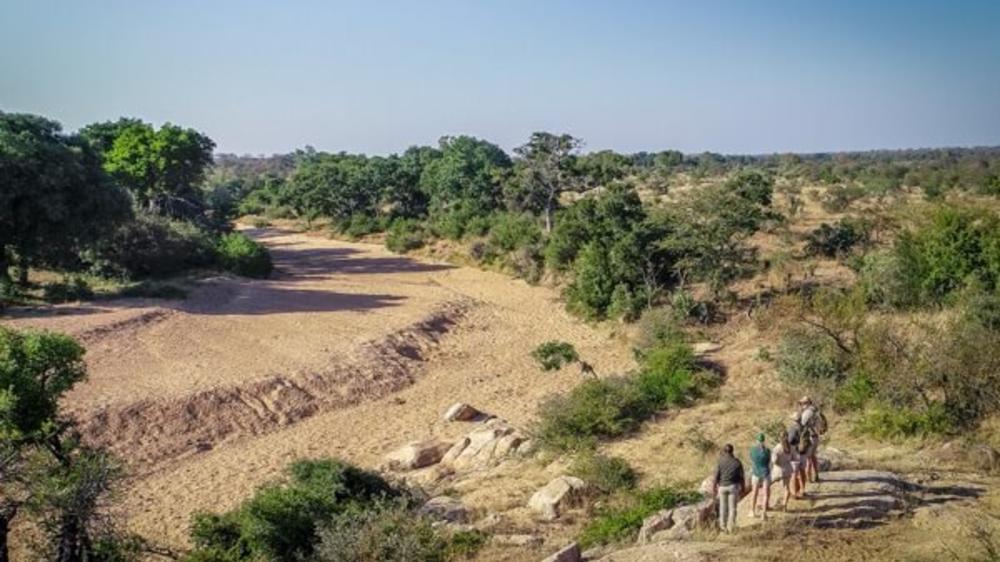 Bateleur Safari Camp