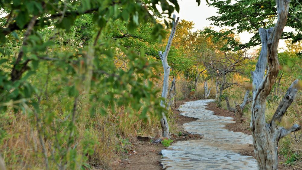 Wildtrack Safaris Eco Lodge