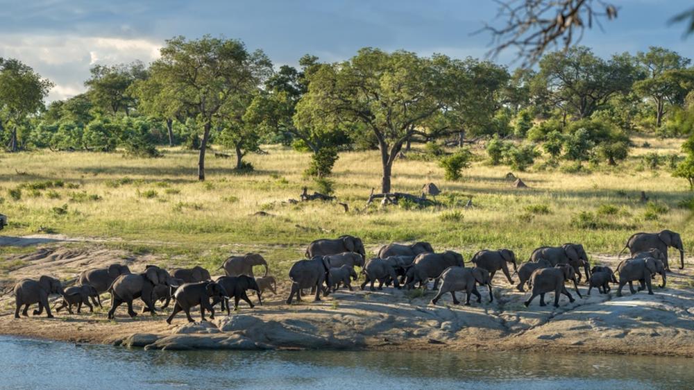 Chitwa Chitwa Private Game Lodge