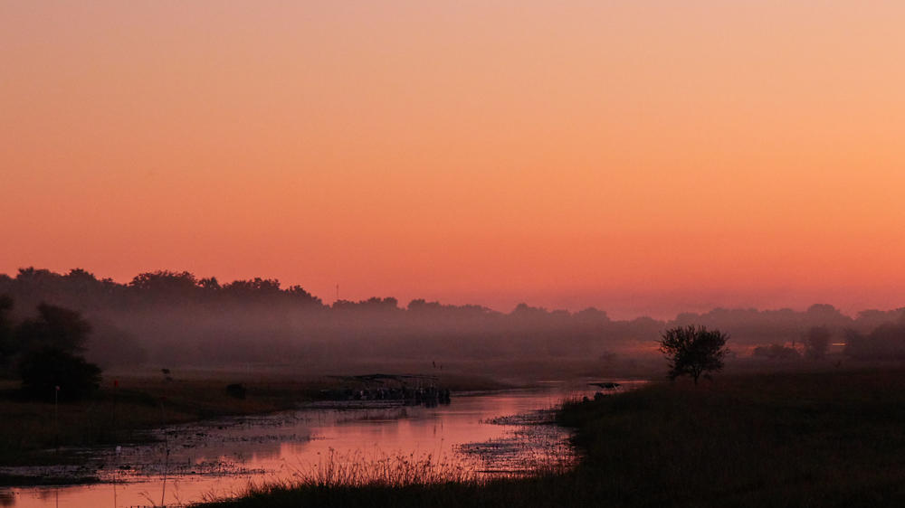 Crocodile Camp Safari & Spa