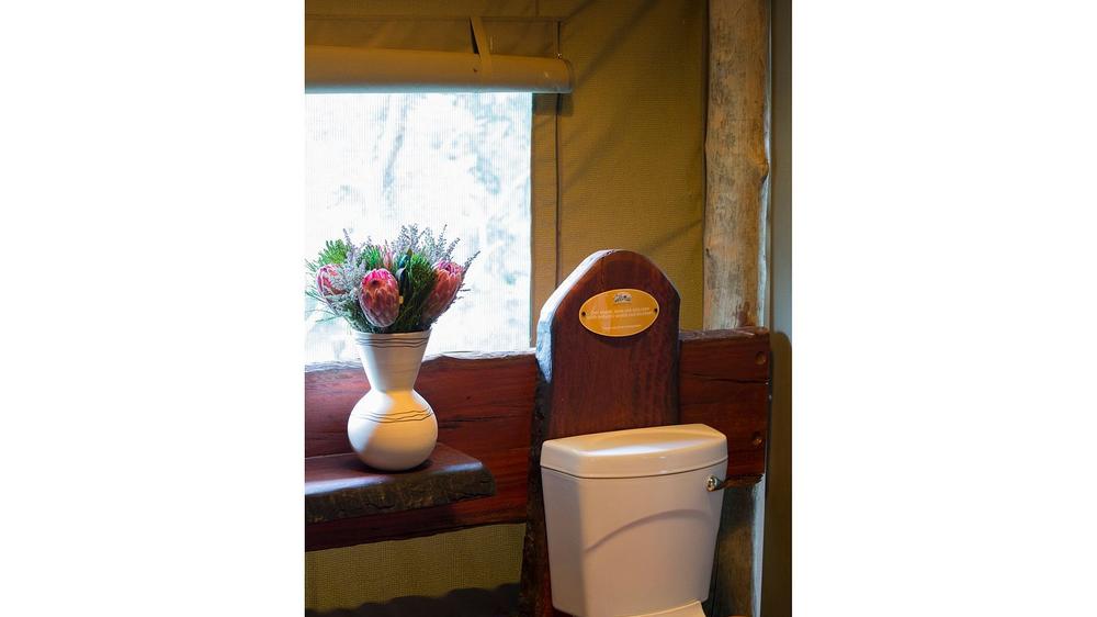 Honeyguide Ranger Camp