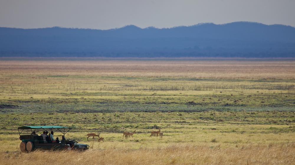 Katavi Wildlife Camp