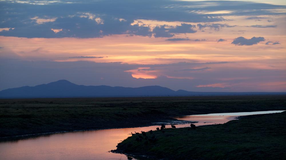 Katavi Wildlife Camp