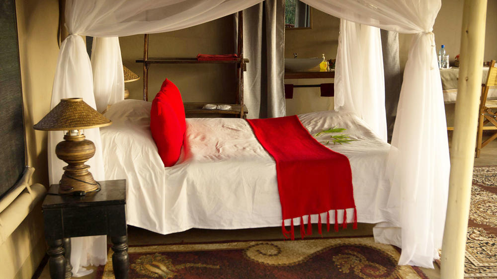 Zebra Plains Mara Camp