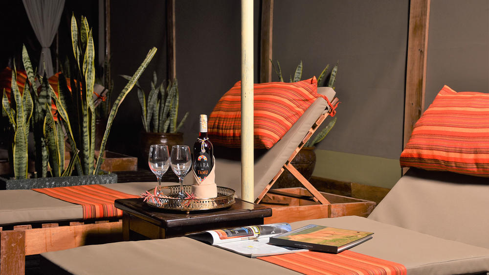 Zebra Plains Mara Camp