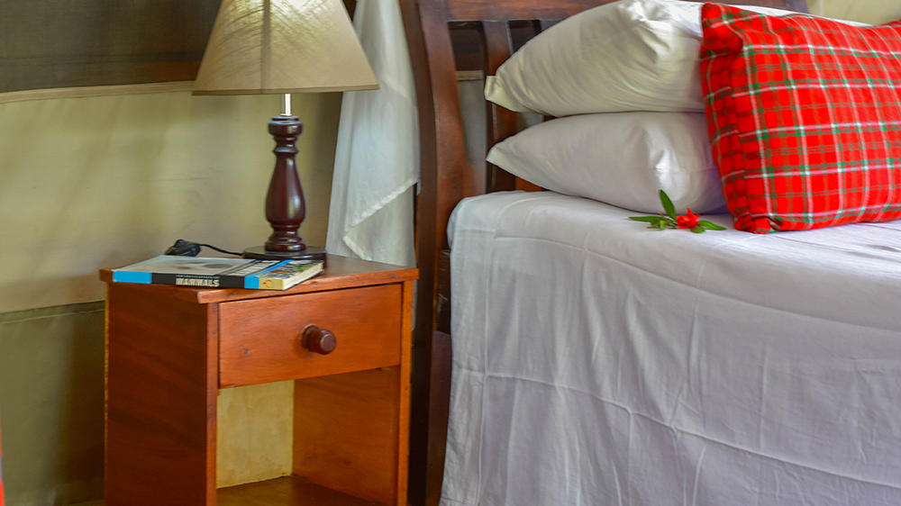 Zebra Plains Mara Camp