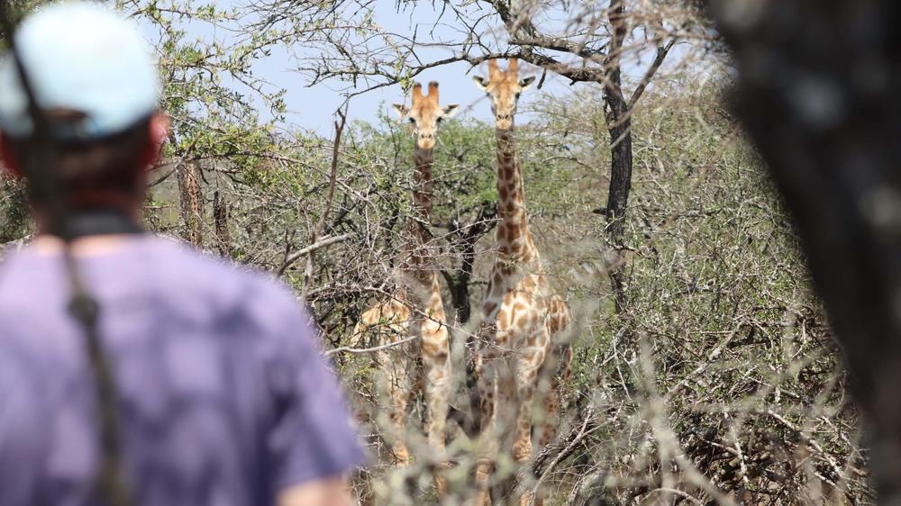 Loziba Wildlife Reserve Tented Camp