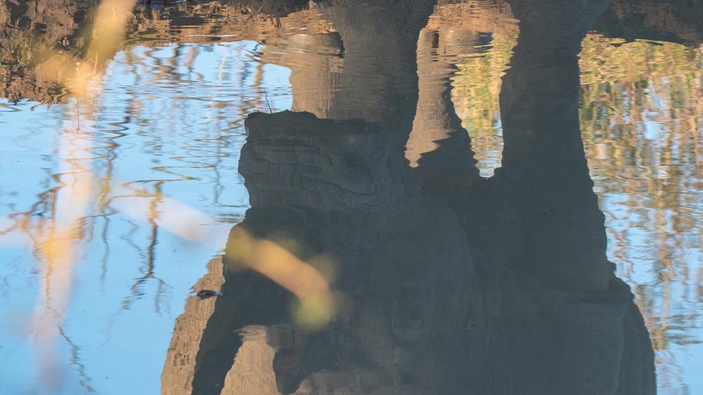 Hluhluwe–Imfolozi Park