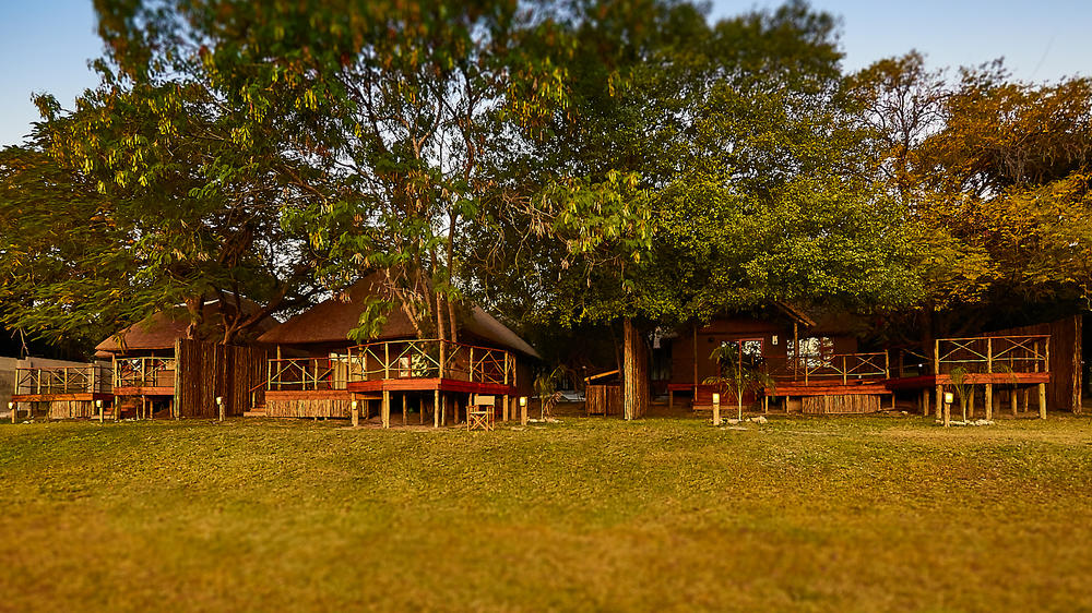 Crocodile Camp Safari & Spa