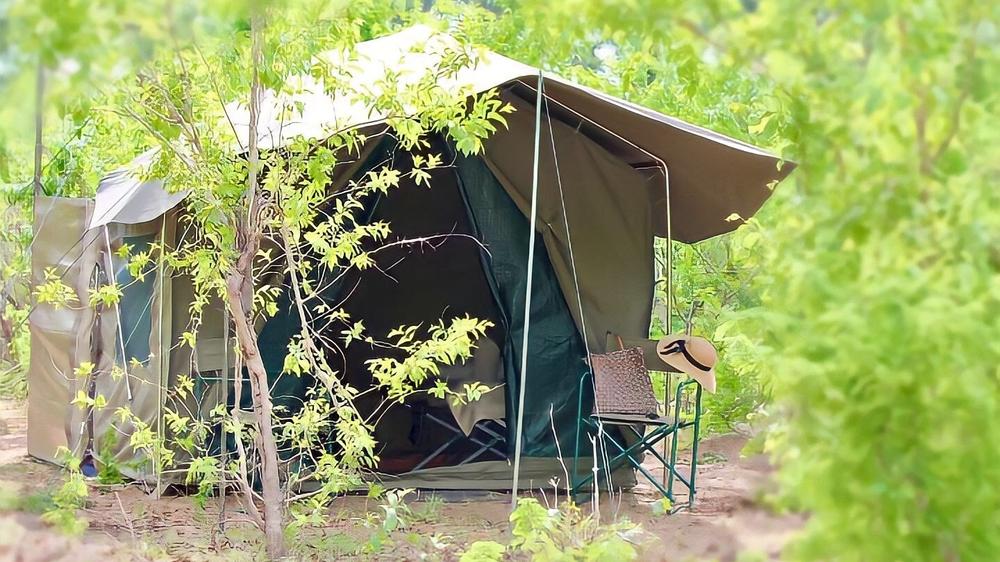 BOGA SV2 Savuti Campsite