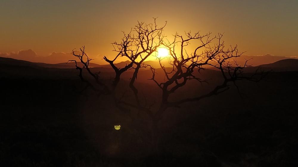 Hluhluwe–Imfolozi Park