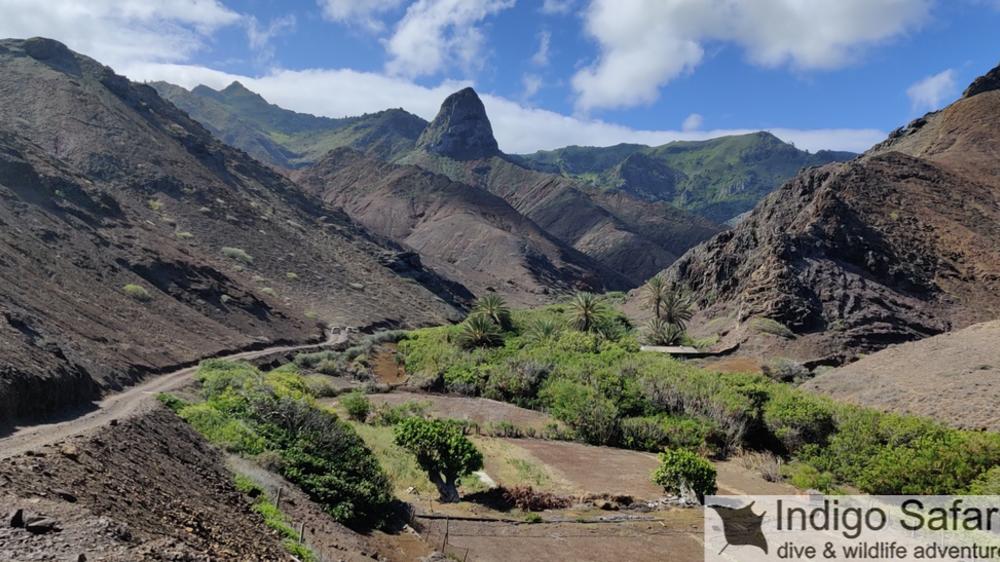 St Helena