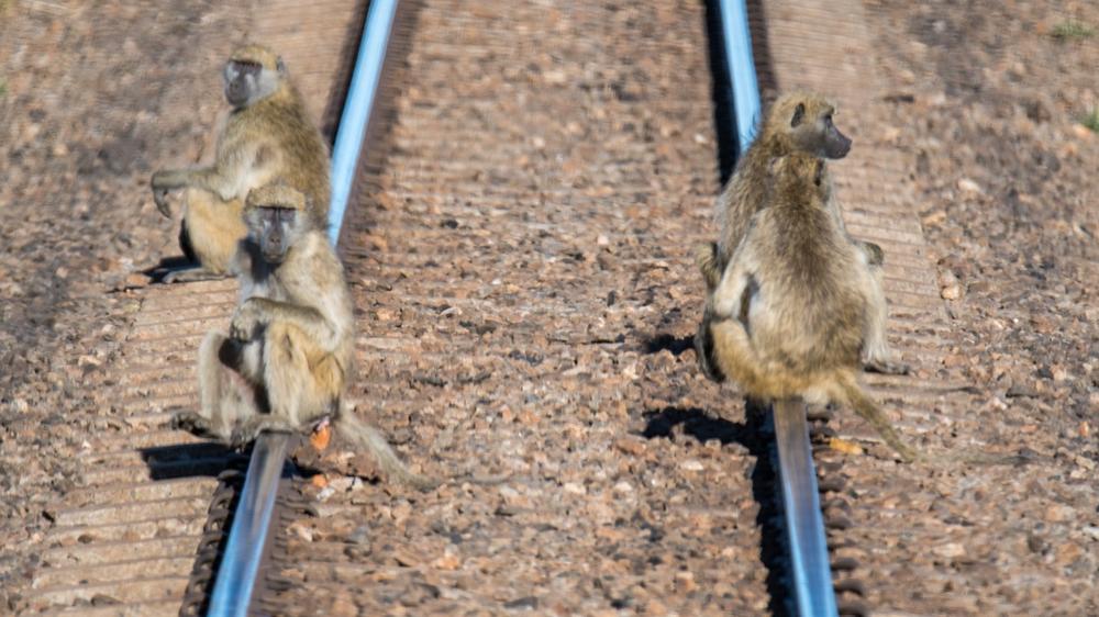 Hwange National Park