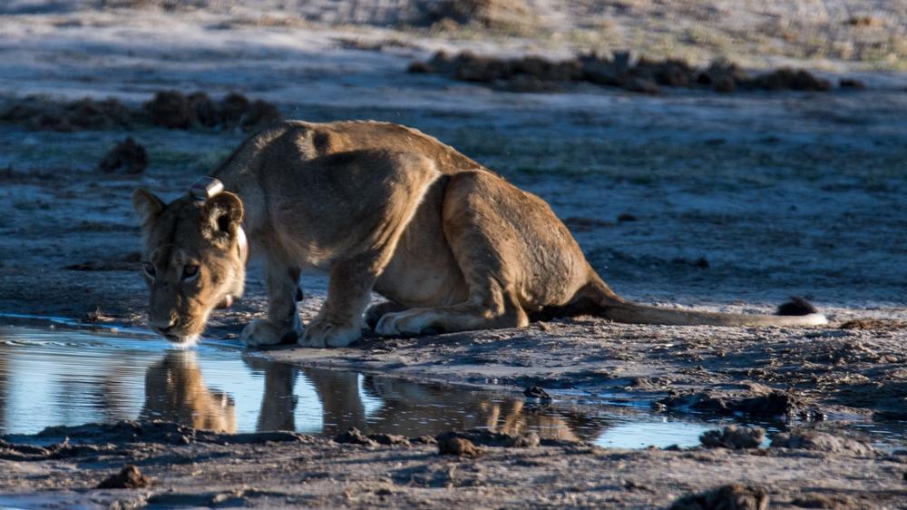 Hwange National Park