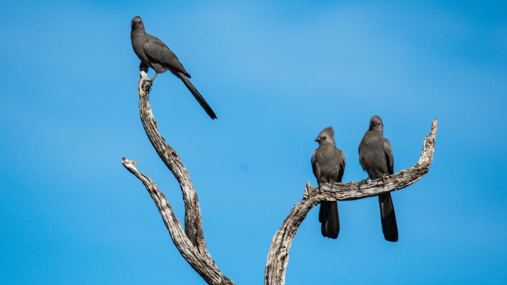 Hwange National Park