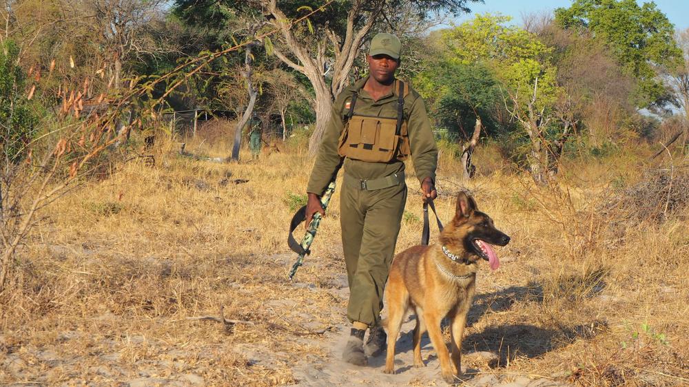 Mlevu Rhino Camp