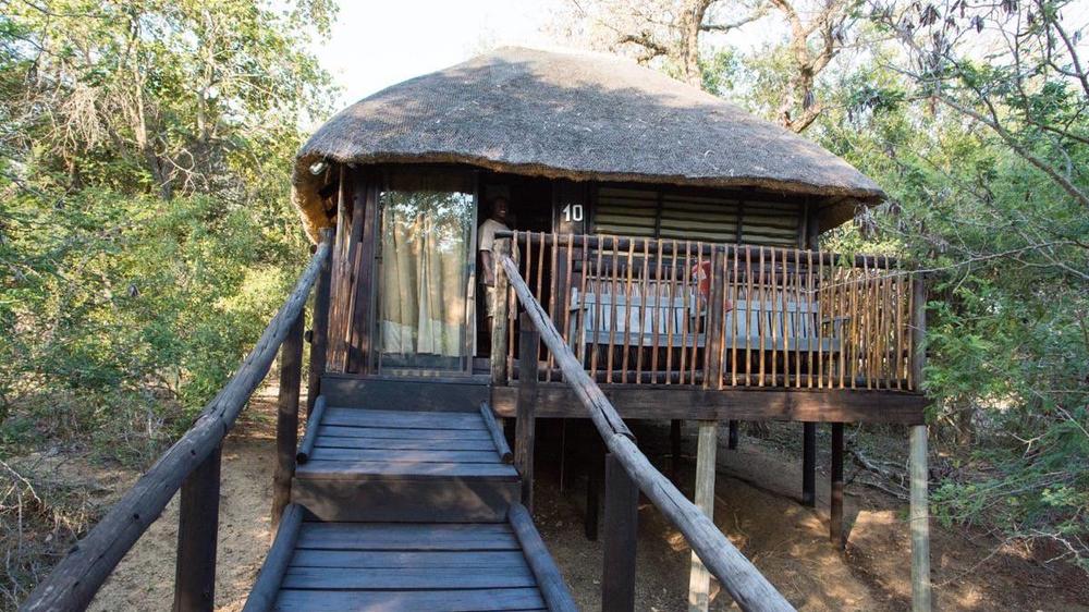 Marc’s Treehouse Lodge