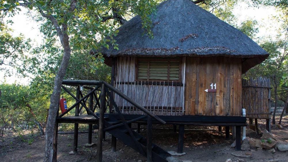 Marc’s Treehouse Lodge