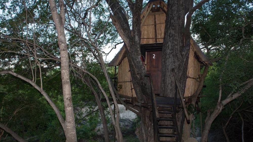 Marc’s Treehouse Lodge