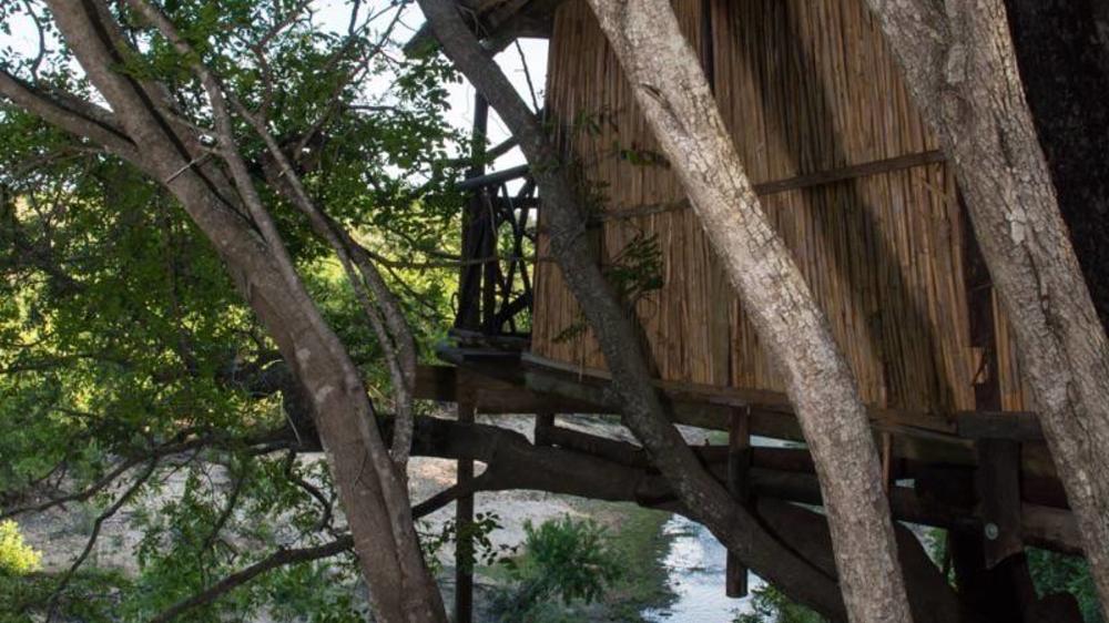 Marc’s Treehouse Lodge
