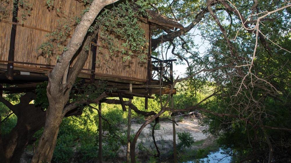 Marc’s Treehouse Lodge