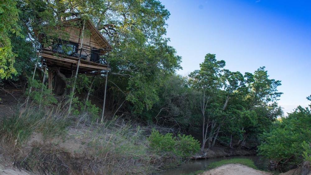 Marc’s Treehouse Lodge