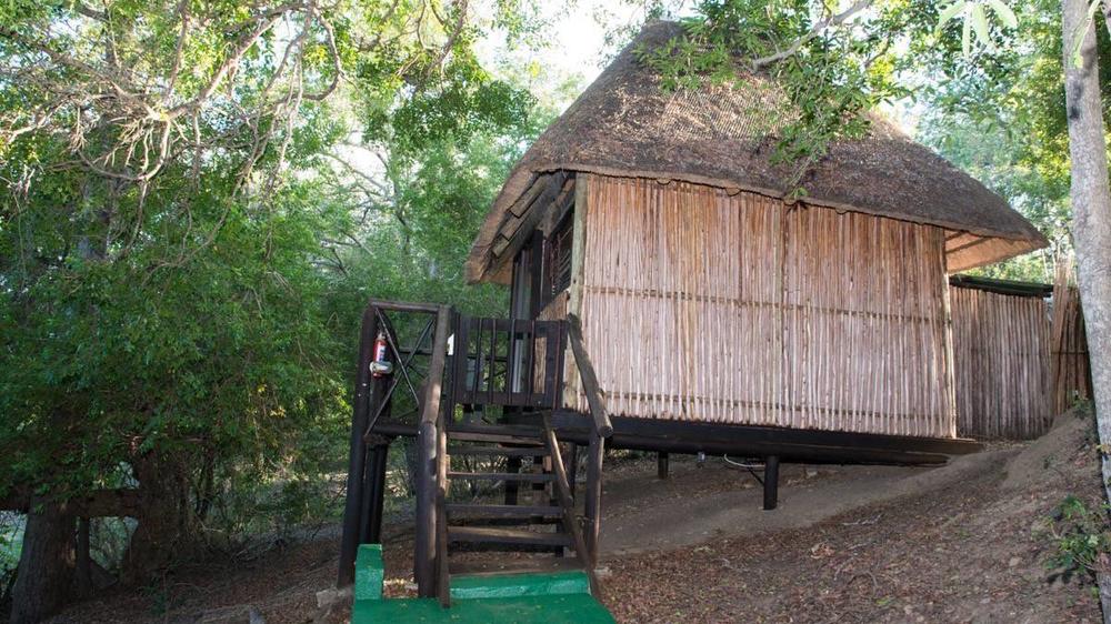 Marc’s Treehouse Lodge