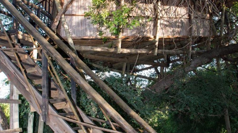 Marc’s Treehouse Lodge