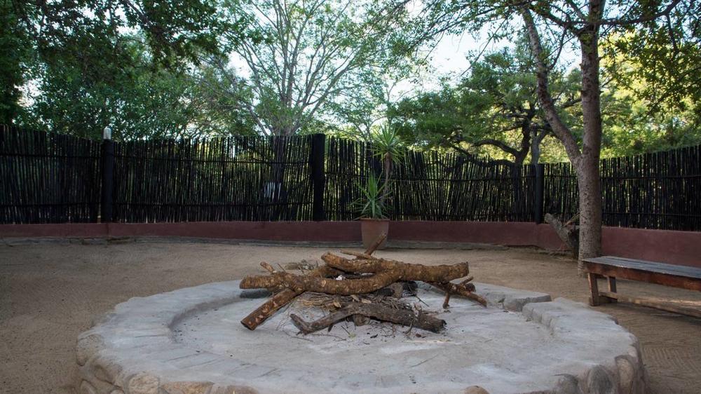 Marc’s Treehouse Lodge