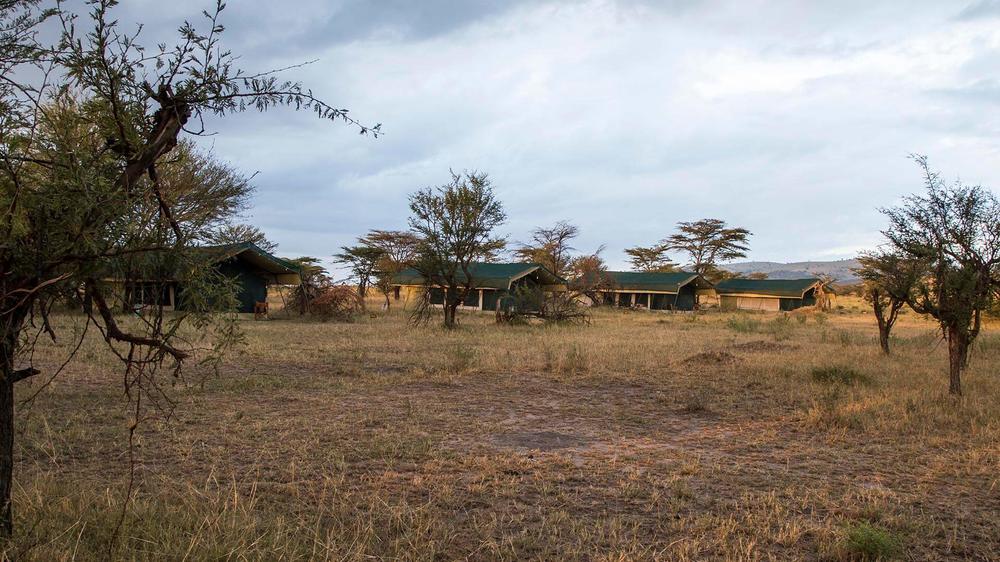 Nasikia Mobile Migration Camp (Dec - Mar)