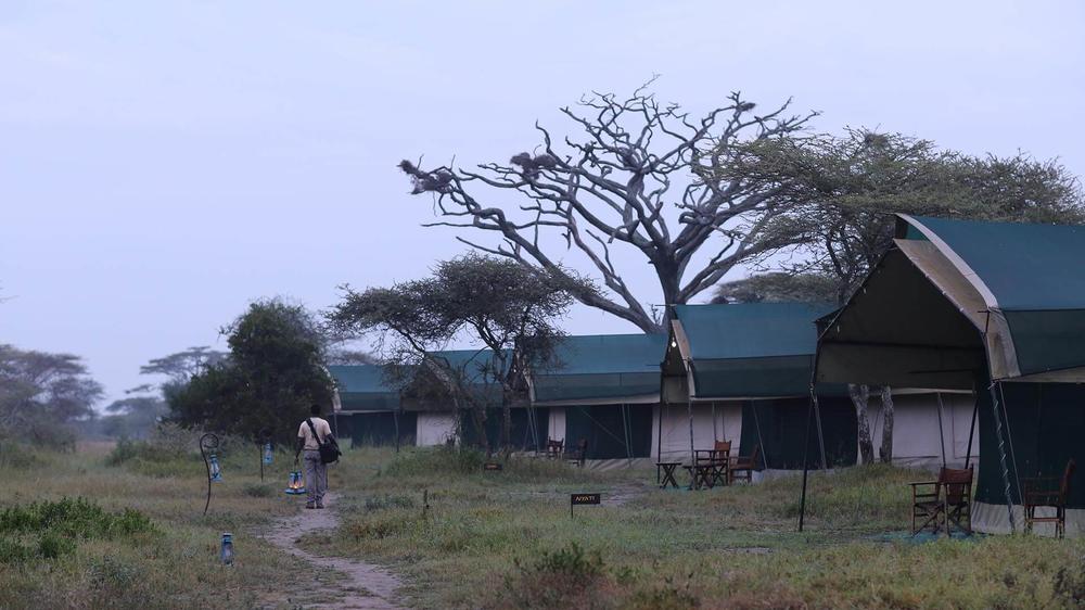 Nasikia Mobile Migration Camp (Dec - Mar)