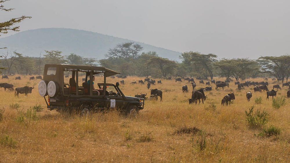 Nasikia Mobile Migration Camp (Dec - Mar)