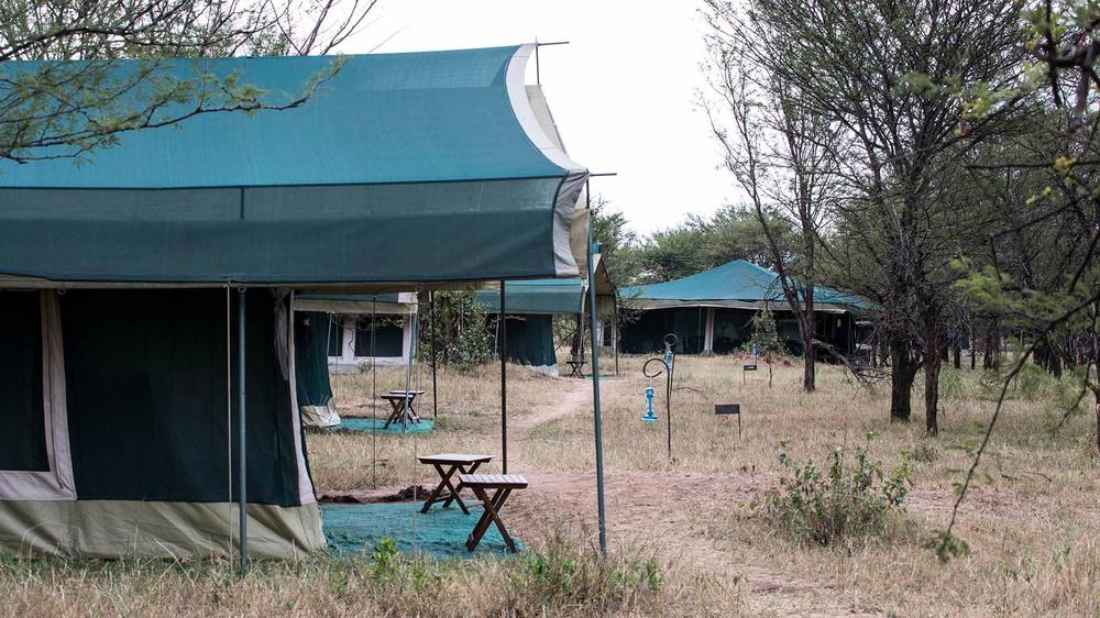 Nasikia Mobile Migration Camp (Dec - Mar)