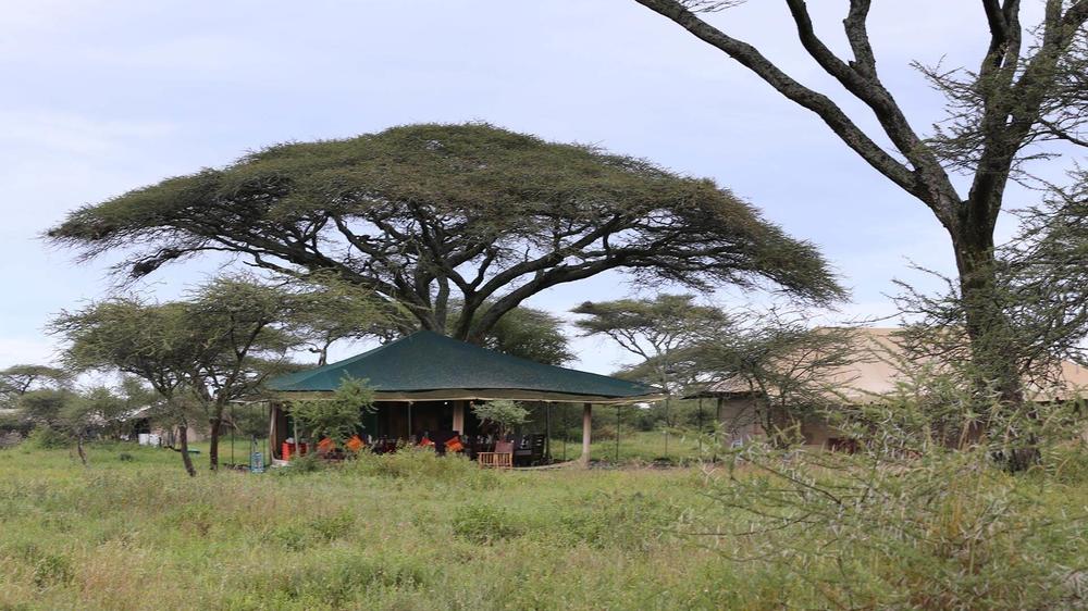 Nasikia Mobile Migration Camp (Jun - Oct)