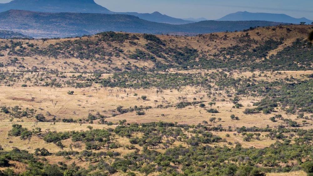 The Springbok Lodge Nambiti