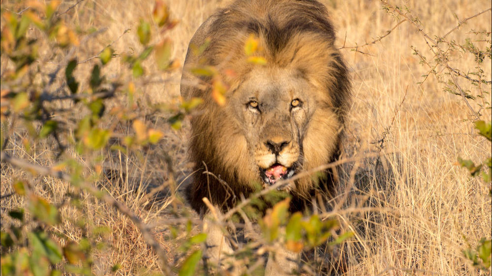 Kruger National Park