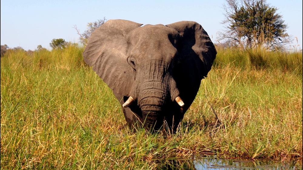 Campsite MGR9N (HATAB)