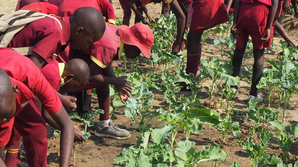 Mlevu Rhino Camp