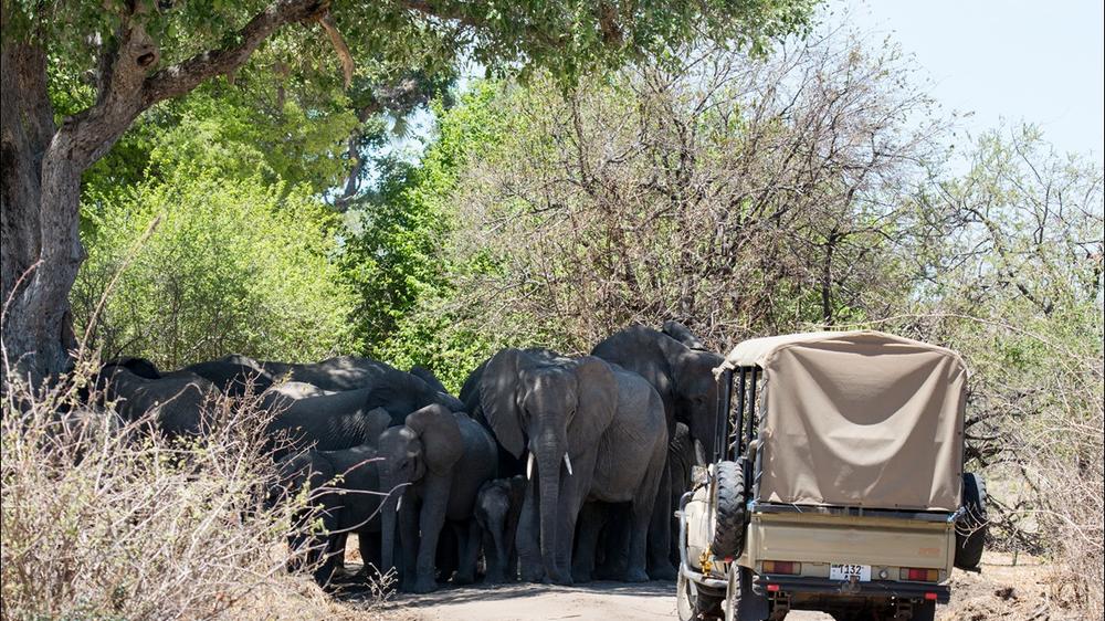 Ruaha National Park